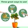 Plant Fertilizer for All Plants, Promotes Vibrant Growth, 8 oz