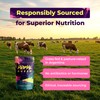 Primal Queen Female-Optimized Beef Organ Superfood Supplement (Beef Liver, Kidney,
