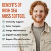 Liposomal Irish Sea Moss Soft Capsules, Burdock Root and Bladder