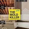 Total Solutions Lemocide | Professional Disinfecting Mildew, Virus & Mold