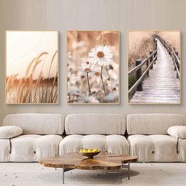 Uixxducc Boho Poster Set Aesthetics Beach Landscape Picture Set, Beige Reed Pampas Wall Pictures Living Room, Beautiful Canvas Picture Wall Decoration for Bedroom without Frame (30 x 40 cm, C)