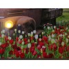 Ford Rusty Farm Truck Print Lighted LED Headlights Ford Truck