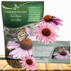 Outsidepride Purple Echinacea Coneflower Seeds - 1000 Pcs Perennial, Deer-Proof