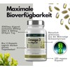 EXVital Omega 3 from Algae Oil, Vegan, 120 Softgel Capsules,