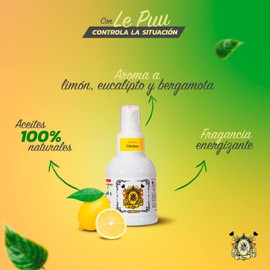 Le Puu Aromatizante Citrus Summer - Cítricos 100 ml / 3.38 fl.oz.