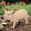 Design Toscano Piggy Garden Statue Porker, Multicolored 6.5"Wx15.5"Dx8.5"H