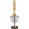 Crown Awards Basketball Trophy, 14.15" Silver Cup Female Basketball Trophies