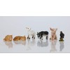 Coingallery Miniature World Farm Animals