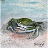 CafePress Blue Crab Acrylic Painting Decorative Fabric Shower Curtain