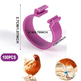 YQkangzhu 100pcs Chicken Leg Rings, 20mm Numbered Chicken Leg Bands, 5 Colors Colorful Poultry Identification Leg Bands, Plastic Clip on Chicken Foot Ankle Rings Tags for Ducks Pigeons Goose Gamefowl