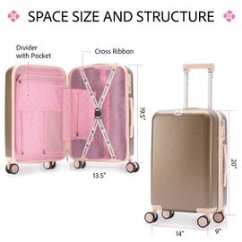 Lightweight Carry-On Luggage for Women, Durable Scratch-Resistant Hardshell Spinner Suitcase with TSA-Approved Lock, Silver Gray