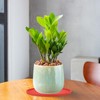 PATIKIL 4.5 Inch Round Ceramic Plant Saucer, Plant Saucer Tray
