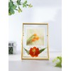 Glass Pressed Flower Frame Handmade, Floating Picture Frames for Pressed