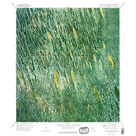 YellowMaps Custard Apple Hammock FL topo map, 1:24000 Scale, 7.5 X 7.5 Minute, Historical, 1973, Updated 1976, 27.1 x 23 in - Paper