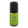 Essential Oil 10 ml Orange