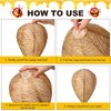 Qualirey 4 Pcs Wasp Nest Decoy Fake Nest Waterproof Wasp