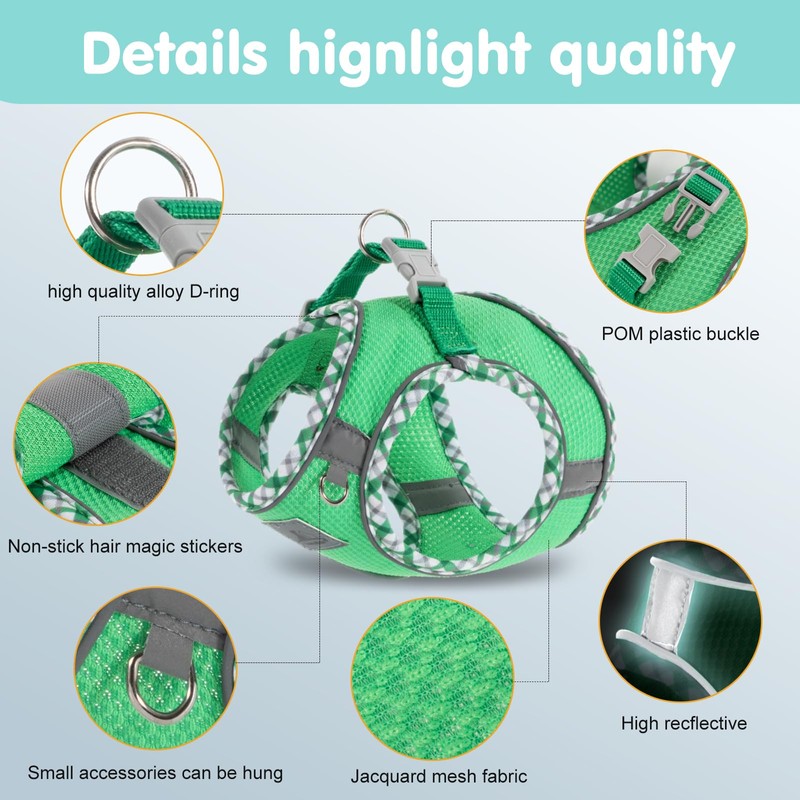 TomteNisse Juego de arnés y correa para perro (verde, XXS)