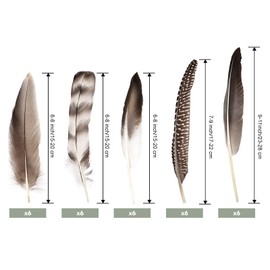 FeelfunFeather Pheasant Feathers -30pcs 5 Style Natural Mixed Decorative Spotted Feathers for DIY Crafts Wedding Home Party Decoration