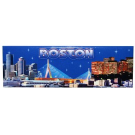 Boston Skyline Refrigerator Magnet Souvenir