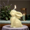 1 Pack Bunny Candle Molds Silicone Molds for Candle Making,