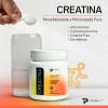 Combo Pre Xplode 300 G Y Creatina 300 G Primetech