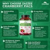 Zazzee Cranberry PACs 72 mg per Capsule, 50:1 Extract, 120