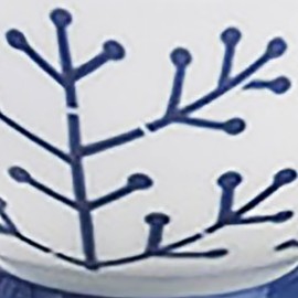 Hama Toto Hasami Ware Seiei Kiln Evotora Rice Bowl Nuts 386671