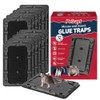 Glue Mouse Traps Indoor for Home -12 Pack Sticky MouseTraps