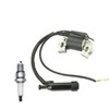 IGCLINIC Ignition Coil + Spark Plug Replacement for Champion Power