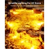 6W Pond Light 2700K SS316 Stainless Steel Fountain Light, 15FT
