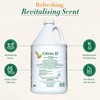 Citrus II Hospital Germicidal Deodorizing Cleaner - Fresh Citrus Scent