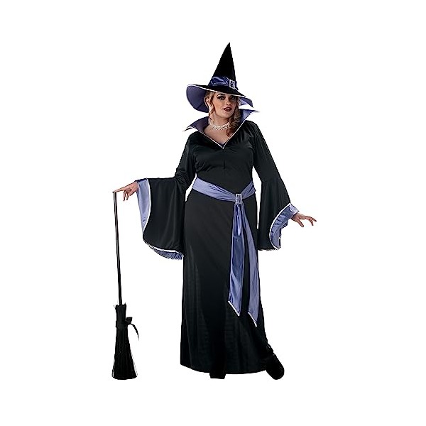 California Costumes Plus Size Glamour Witch Incantasia Costume Size 1X,