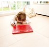Hape Magnetic Drawing Board Take Away Red Large 280 x