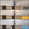 4-Light Farmhouse Iron Cage Rustic Mini Flush Mount Ceiling Light