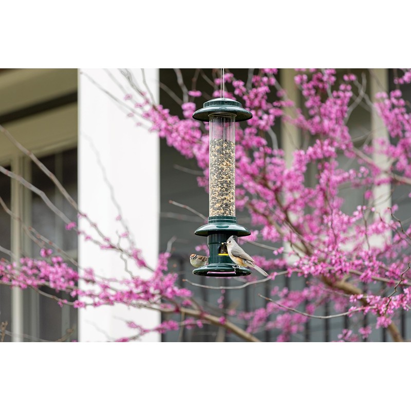 Squirrel Buster Evolution Truly Squirrel-Proof Bird Feeder, Double Cardinal Ring,