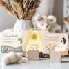 Lulu & You Affirmation Cards - 25 Cards with Words