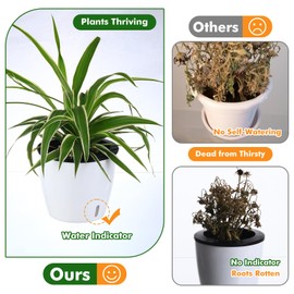 Planterhoma 6.7 Inch Self Watering Pots for Indoor Plants, 4 Packs African Violet Pots with Indicator, Black Wick Pot with Drainage Holes, Self Watering Planters for Orchid, Devil's Ivy, White