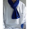 [TAVARAT] 3-second scarf Mens short scarf compact size autumn spring