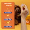 Premios Para Perro Multivitamínicos Dog Treats Suplemento