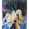 3D Holographic Lenticular Poster 3-in-1 SSJVEGETABLUE, SSJVEGETA, VEGETA !! 🔥