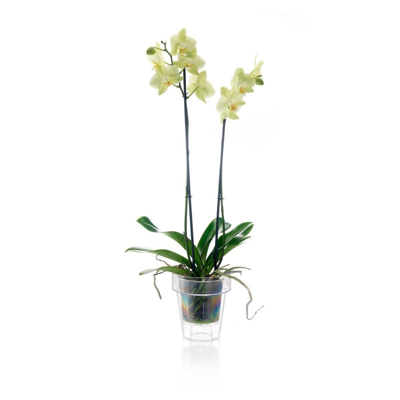 Teraplast TRANSPARENT VASE PORTO WITH SUPPORT FOR ORCHIDS DIAMETER CM