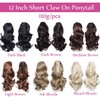 Long Short Claw Ponytail Hair Extension One Piece Cute Clip