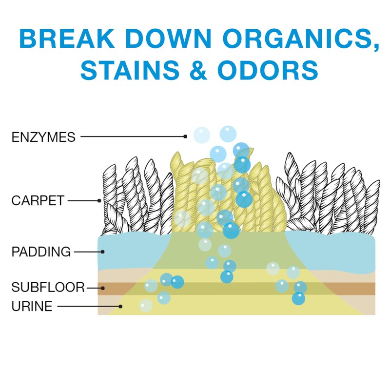 Orb-3 Multipurpose Enzyme Cleaner (1-Gallon, Clean & Fresh)