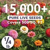 Zinnia Cut & Come Again Mix - Bulk 1/4 Pound