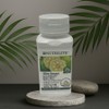 Nutrilite Slim Smart Garcinia Cambogia, 1 unit, 180 tablets / 뉴트리라이트 슬림스마트 가르시니아캄보지아, 1개, 180정