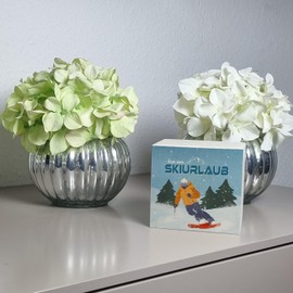 Wooden money box for ski holidays with cool skier money box winter holiday cash register adventure ski holiday winter sports winter holiday cash register adventure holiday travel snow