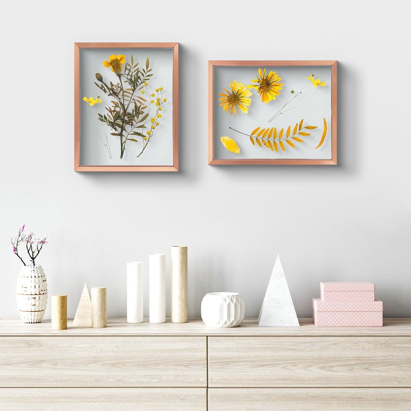 Frametory, Floating Picture Frame 8x10 - Rose Gold Aluminum Metal