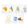 Mascarilla Mixsoon Facial Daily Diferentes