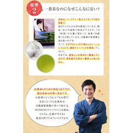 Green Tea Bag, Tea Pack, Cold Brew, Hot Water, 100% Ichiban Tea, 8.8 oz (250 g) (2.5 g x 100 Bags), Uses Biodegradable Tea Bags Derived from Food, Environmentally Friendly and Healthy Biodegradable