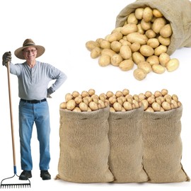 ANPHSIN 4Pcs Breathable Natural Burlap Bags - 24"x40" Reusable Thicken Jute Potato Onion Food Storage Sacks with Rope